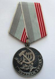 Медаль "За долголетний добросовестный труд" Ветеран труда