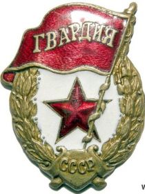 Нагрудный знак "Гвардия"