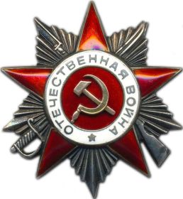 Орден Отечественной войны II степени (1985 год)