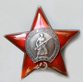 орден "Красной звезды" , "Медаль за отвагу"