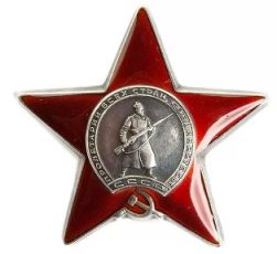 Награжден орденом "Красной Звезды" приказом № 065 от 04.07.1943 года