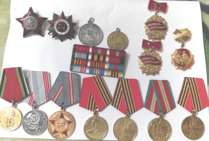 Два Ордена Красной Звезды, медаль за отвагу, медаль за освобождение Варшавы, медаль за взятие Берлина, медаль за победу над Германией
