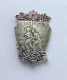 нагрудный знак "Ветеран Невской Дубровки"