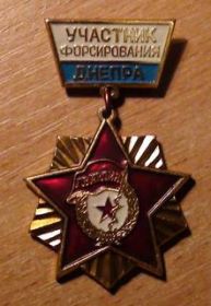 Нагрудный знак "Участник форсирования Днепра"