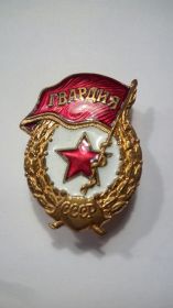 Нагрудный знак "Гвардия"