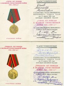 Медаль За Победу над Германией в Великой Отечественной войне (1946), Медаль 30 лет РККА (1948)