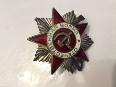 орден Отечественной войны 2 степени, орден Славы 3 степени, медали За Отвагу и За Победу над Германией