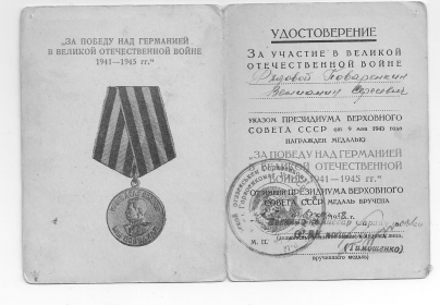 медаль за победу над Германией в ВОВ 1941-1945