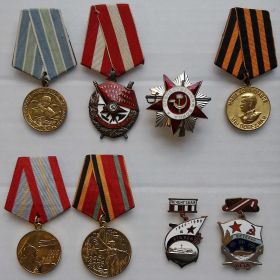 Ордена Красного знамени, Отечественной войны 2-степени, медали