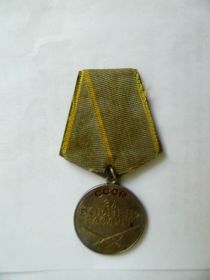 Награжден медалью за боевые заслуги.