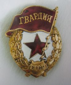 6. Нагрудный знак "Гвардия