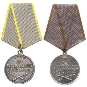 медаль за боевые заслуги №330082