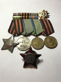Орденом Красной Звезды,орденом Славы,медалями За Отвагу,За Оборону Кавказа
