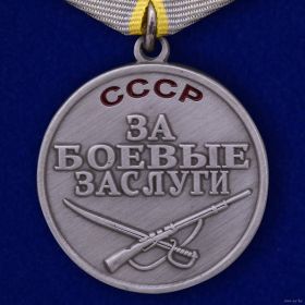 Медаль "За боевые заслуги" наградной лист №33421983