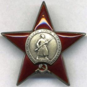 орден Красной Звезды № 2701749