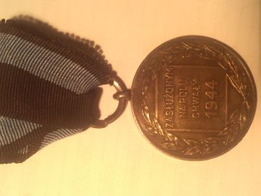 Польская медаль «Заслуженным на поле Славы» Medal «Zasluzonym na Polu Chwaly» «MILI TARI VIR TUTI ZASLUZONYM NA POLU CHWALY» 1944г.