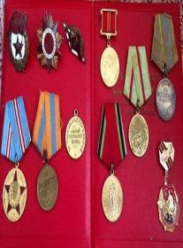 Орден Отечественной Войны 1 степени, медаль За боевые заслуги и многие другие