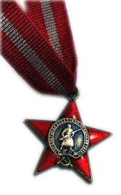 Знак Гвардии СССР, орден Красной звезды, орден Отечественной войны 1 степени, Отечественной войны 2 степени.