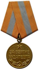 Медаль "За взятие Будапешта"