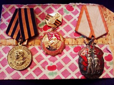 медаль за победу над Германией в Великой Отечественной войне 1941-1945 гг..