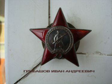 орден Красной Звезды №1031012