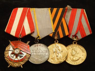 Награды: Орден красного знамени, Медаль за боевые заслуги, Медаль 20 лет победы над Германией в ВОВ, Медаль за победу над Германией 1941 - 1945 гг.