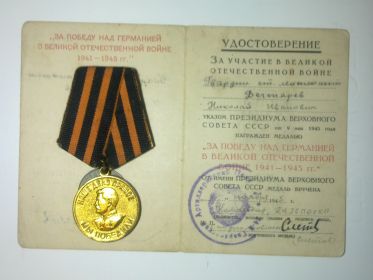 медаль за пабеду над германией