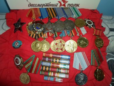 Орден Красной Звезды Две медали за отвагу Орден отечественной войны