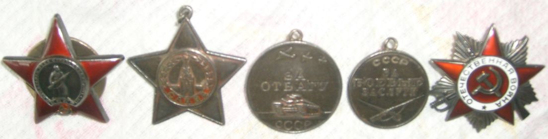 Орден Красной звезды, Отечественной войны 1 степени, медаль Славы 3 степени, За боевые заслуги, За отвагу