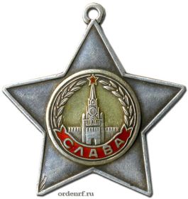 Орден "Славы" 2-й степени.