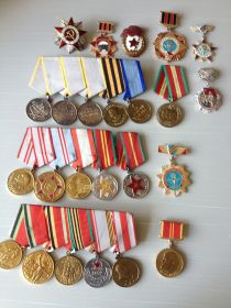 Орден Великой Отечественной Войны; 20 медалей, среди которых медаль за Победу над Германией, медаль за взятие Вены, 3 медали за Боевые заслуги от маршала А. Гречко