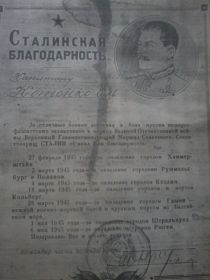 Орден Красной Звезды Орден отечественной войны Медаль за оборону Ленинграда Медаль за боевые заслуги Медаль за победу над Германией Сталинская благодарность