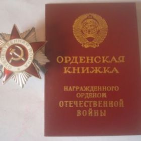 Награжден орденом Отечественной войны II степени