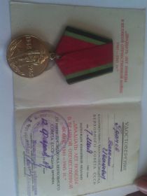 Медаль, Медаль, двадцать лет победы в Великой Отечественной войне 1941-1945 гг.