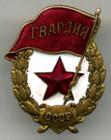 Нагрудный знак Гвардия