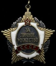 Медаль за личное мужество