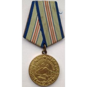 Медалью «За оборону Кавказа»
