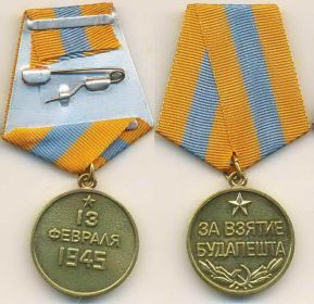 Медаль за взятие Будапешта, Вена. 1945 год.