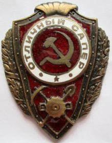 нагрудный знак "Отличный сапёр",