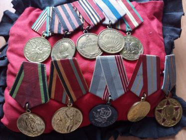 ордена "Отечественной войны" I-й и II-й степеней, медали