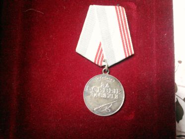 медаль за боевые заслуги №1073085