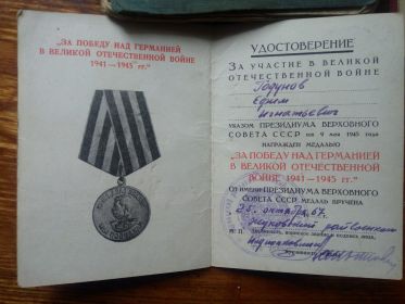 Медаль за победу над германией в Великой Отечественной Войне 1941-1945 гг"