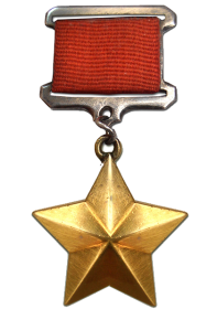 Медаль Золотая Звезда (посмертно)