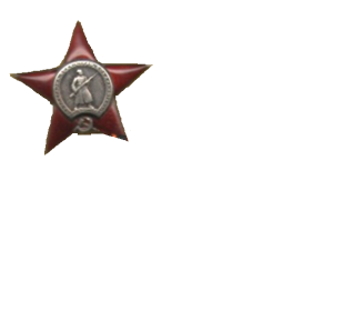 Награждён: Орденом «Красной звезды» 11.1944г.,