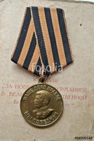 медаль «За победу над Германией в Великой Отечествен-ной войне 1941-1945 г.г.»