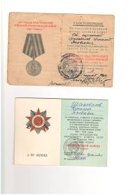 Медаль за победу над Германией в Великой Отечественной Войне 1941-1945 гг", Орден Отечественной войны II степени, много юбилейных наград