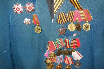 Орден Славы 2 ст, орден Отечественной Войны 1, 2 ст.,орден Красного Знамени,медаль за Победу над Германией( посмертно), медаль За Отвагу.