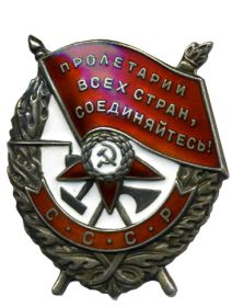 Орден Красного знамени (посмертно)