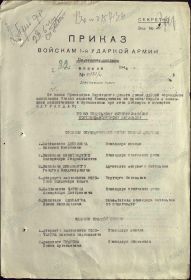 Строка в наградном списке приказа