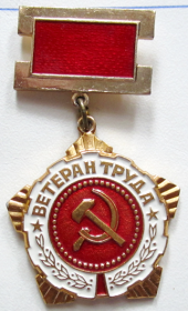 Нагрудный знак "Ветеран труда"